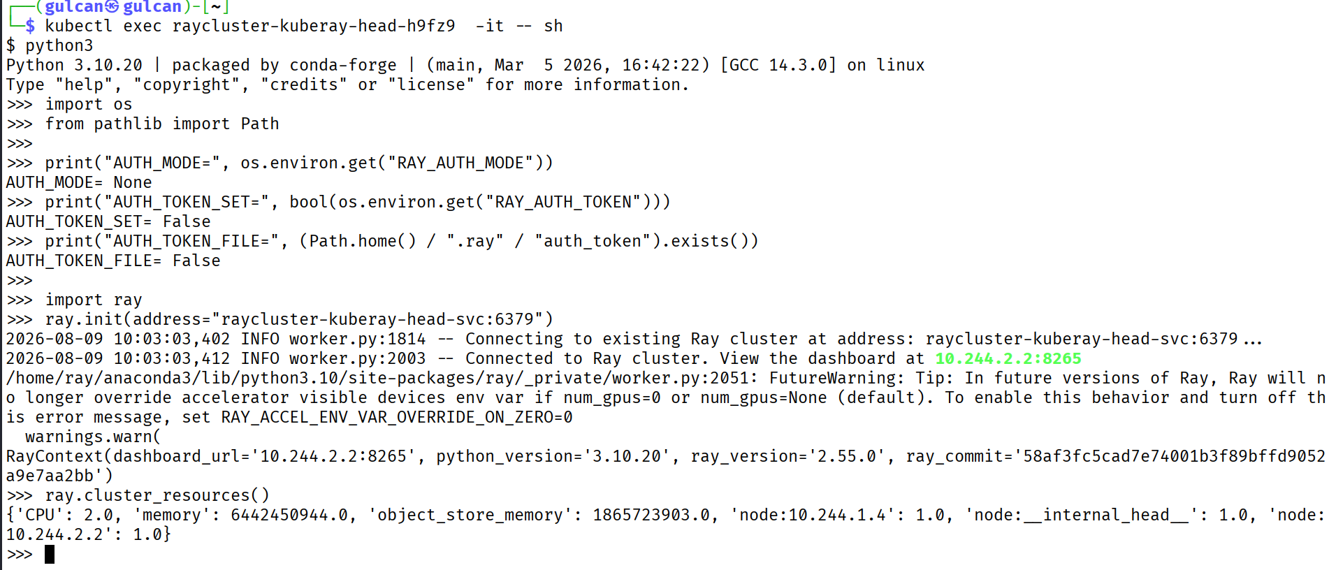 The pod connects to Ray on port 6379 without an auth mode or token and reads cluster resources